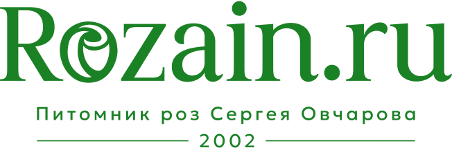 Rozain.ru логотип сайта