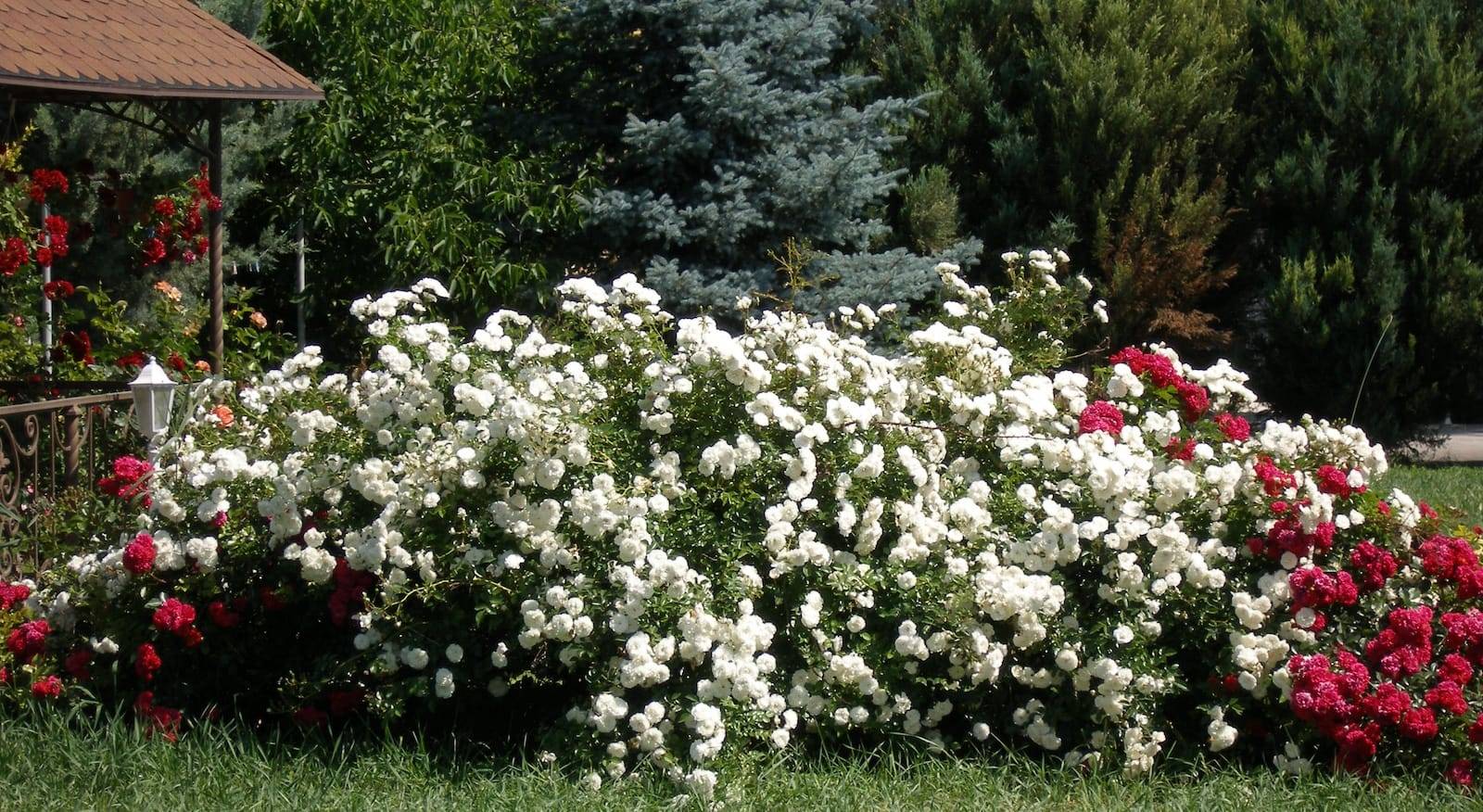 Отзывы с фото